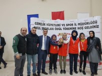 MEHMET DEMIR - Diyarbakır'da Dart Müsabakaları Tamamlandı