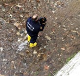 BELDIBI - Kediyi Kurtarmak İçin İtfaiye Ekipleri Seferber Oldu