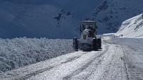 Van'da Kar Yağışı Durdu Mücadelesi Devam Ediyor