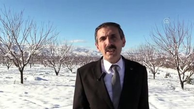 Yağışlar Çiftçinin Yüzünü Güldürdü