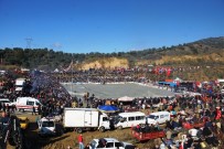 ÜMMET AKIN - 71. Deve Güreşi Festivali'ne Büyük İlgi