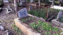 Adana'da Bazı Mezarlar Tahrip Edildi Haberi