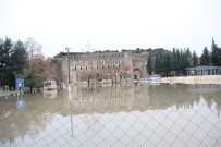 BELEK - Antalya'da Yağmur Seralara Ve Ekili Alanlara Zarar Verdi