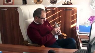 'Bıcırık'a Kaymakam Sahip Çıktı