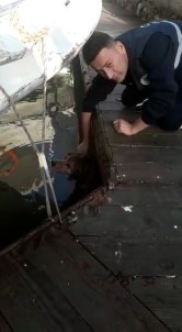 Dalyan Kanalında İskelenin Altına Sıkışan Köpek Kurtarıldı