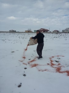 Soğuk Havalarda Yiyecek Bulamayan Yaban Hayvanlarını Unutmadı