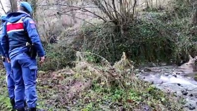 Yaralı Geyik Donmak Üzereyken Kurtarıldı