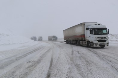 'Beyaz Esaret' Ekmek Paraları Oldu