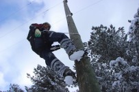 İHBAR HATTI - UEDAŞ Ekipleri Zorlu Şartlarda Mücadele Ediyor