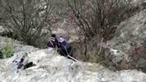 KEÇİ - Kayalıkta Mahsur Alan Keçiler Kurtarıldı