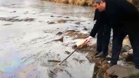 PETROL SIZINTISI - Kızılırmak'ta Balık Ölümü