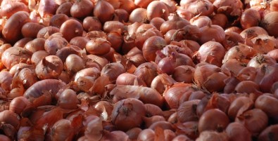 Kuru Soğanda Gümrük Vergisi Sıfırlandı