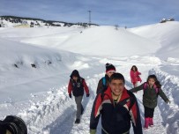 Sincik'te Okullar Tatil Edildi