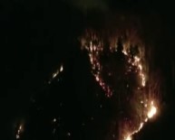 Trabzon'da Orman Yangını Haberi