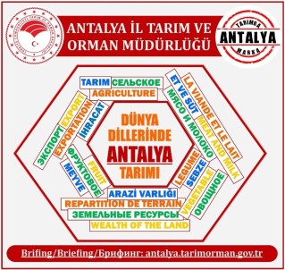 Antalya Tarımı 4 Dile Çevrildi