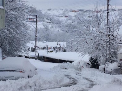 Elvanpazarcık Belediyesi'nden Karla Mücadele Çalışması