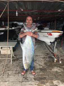 Oltasına 20 Kiloluk 'Çatalkuyruk' Takıldı