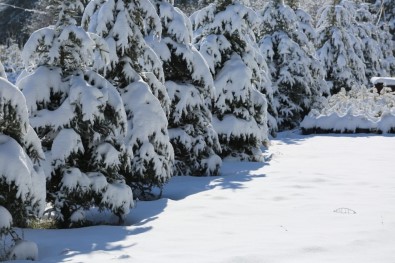 Uşak'ta Kar Yağışı Sonrası Kartpostallık Görüntüler