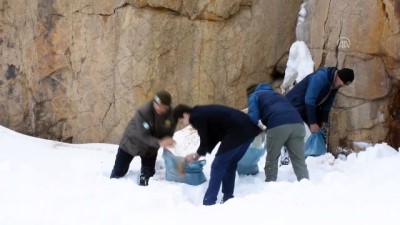 Zigana Dağı'nda Yaban Hayvanları Unutulmadı