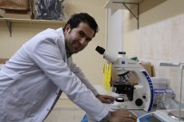 KANGAL KÖPEĞİ - Kangalların Yavrularını Yemesinin Sırrını Çözdüler