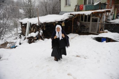 (Özel) 85 Yaşında...Okuma Öğrenmek İçin Kar Kış Demiyor Her Gün 2 Kilometre Yürüyor