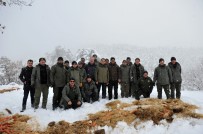 EKOLOJIK - Yaban Hayvanları İçin Doğaya Yem Bırakıldı