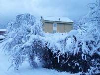 KAR KALINLIĞI - Yenice'de Kart Postallık Manzaralar Oluştu