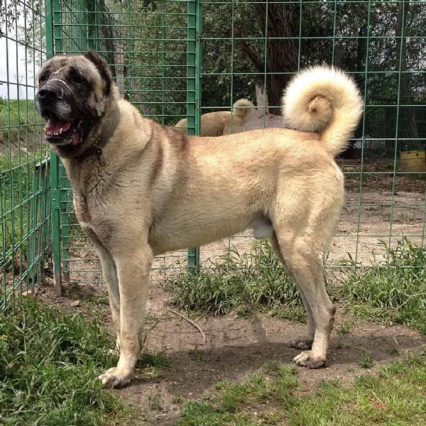 O sorunun cevabı bulundu