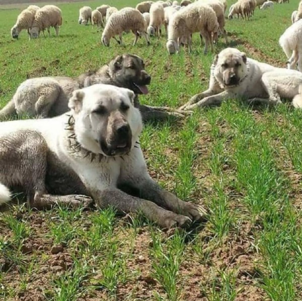 O sorunun cevabı bulundu