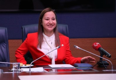 TBMM KEFEK Alt Komisyonundan Önemli Hamle