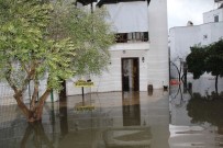 BELEK - Belek'te Dere Taştı, Villalar Su Altında Kaldı