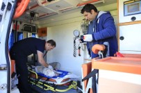 SOKAK HAYVANI - Büyükşehir, Sokak Hayvanlarını Yalnız Bırakmadı