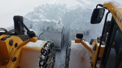 Hakkari'de 119 Yerleşim Yerinin Yolu Kapandı