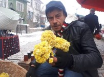 EĞRIGÖZ - Sarı Ot Pazar Tezgahında
