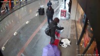 YAĞMURLU - Soğuktan Üşüyen Köpeğin Üzerine Şalını Örttü