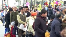 HAMSİ FESTİVALİ - KKTC'de 'Hamsi Festivali'