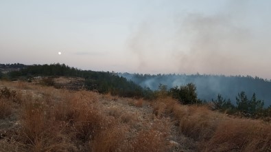 Osmaniye'de Orman Yangını