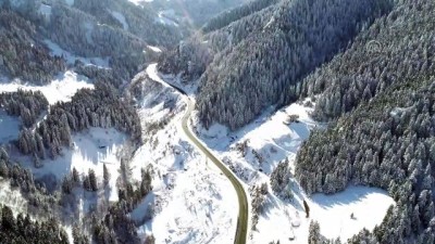 Tarihi İpek Yolu'ndaki Zigana Dağı'nda Kış Güzelliği
