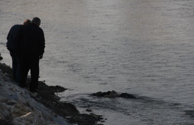Adana'da Nehirde Erkek Cesedi Bulundu