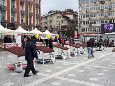 Devrek'te Sokak Hayvanları Yararına Kermes