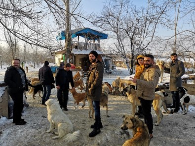 Doğa Tutkunları Sokak Köpeklerini Unutmadı