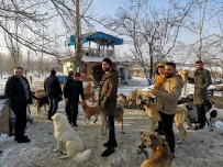 OFF ROAD - Doğa Tutkunları Sokak Köpeklerini Unutmadı