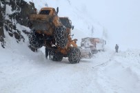 ŞİDDETLİ TİPİ - Gümüşhane'de Karla Mücadele Çalışmaları Devam Ediyor
