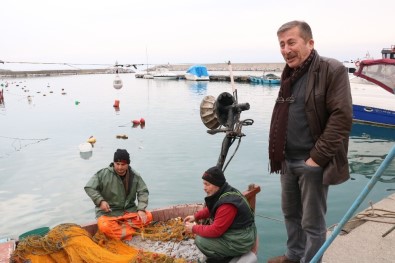 Sezon Boyunca 600 Ton Hamsi Avlanan Zonguldak'ta, Hamsi Kıtlığı Yaşanıyor