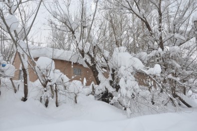 Yüksekova'da Kar Manzaraları