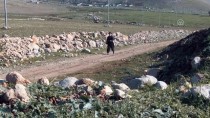 EGZERSİZ - 91 Yaşındaki Iraklı Azizi Her Gün 2 Saat Yürüyüş Yapıyor