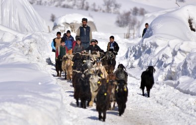 Bitlis'te Zorlu Besicilik
