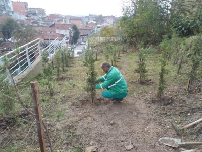 İzmit'te Park Bahçe Çalışmaları Devam Ediyor