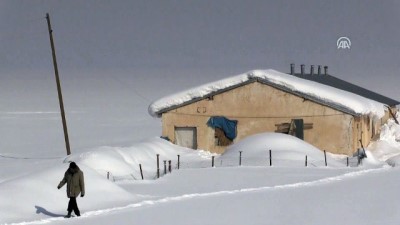 Kar Yüksekova'ya Hem Çile Hem Güzellik Getirdi