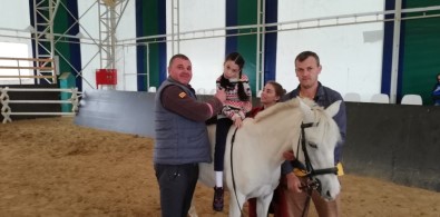 Kartepe Atla Terapi Merkezi'ne Yoğun İlgi